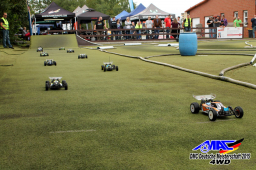 2015 DM 4WD Buggy 4WD Juni